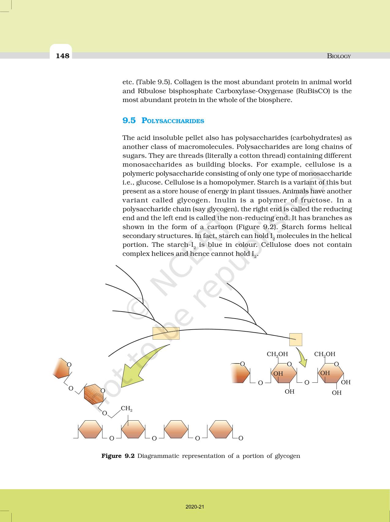 Biomolecules - NCERT Book Of Class 11 Biology